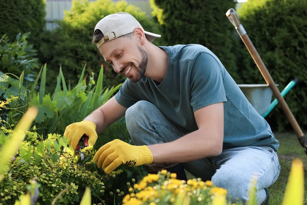 Landscaper